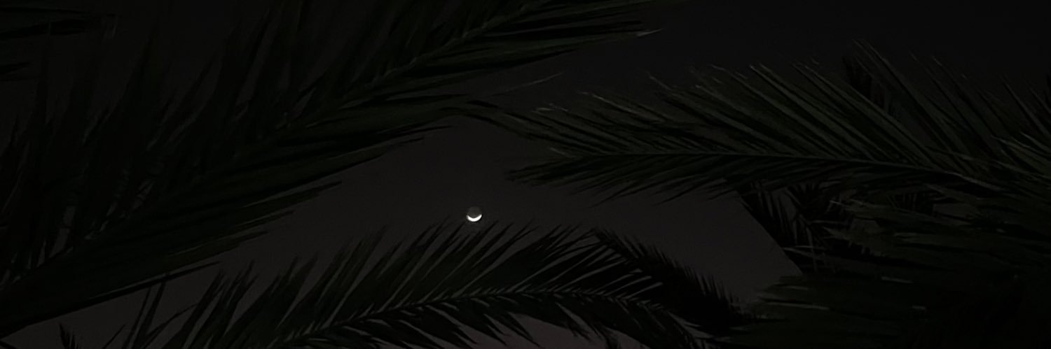 Rayanl99's profile banner image