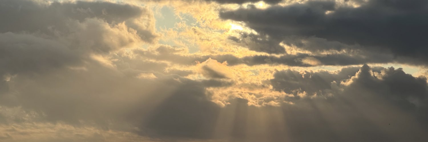 Richard Amerling banner