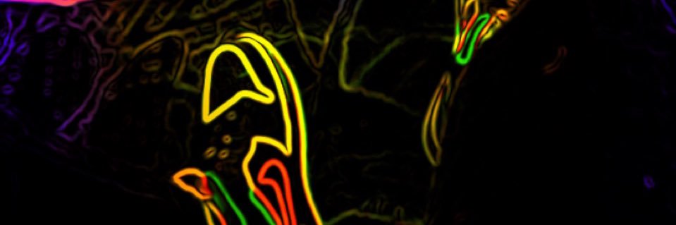 Wellzy_05's profile banner image