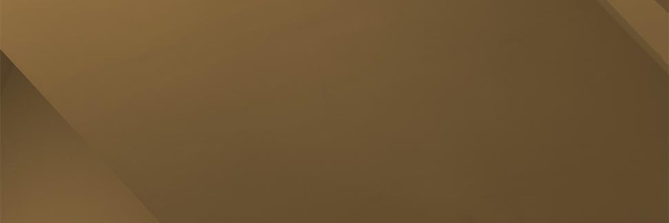 Renaissance Society banner