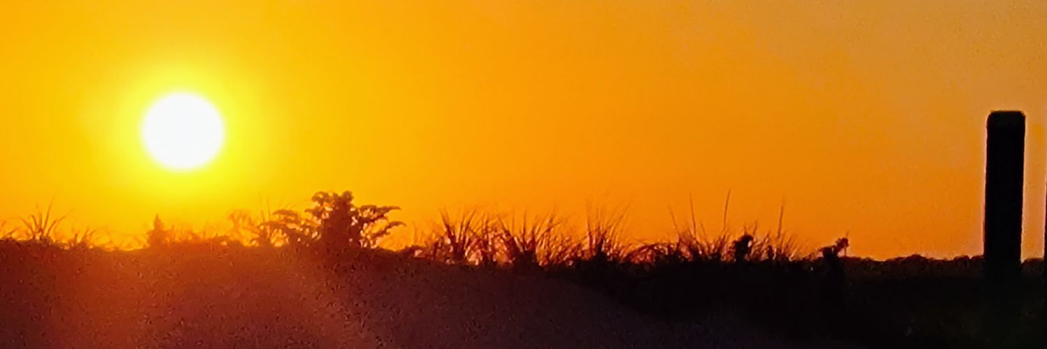 tabibov1's profile banner image