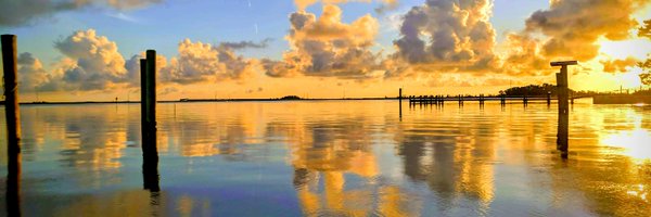 HilaryHF Profile Banner