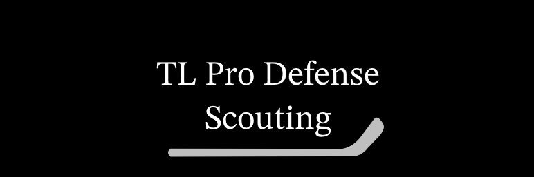 TLPDScouting's profile banner image