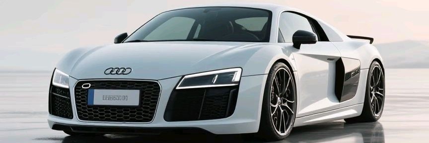 Z(zzzzzzzzzz:) banner