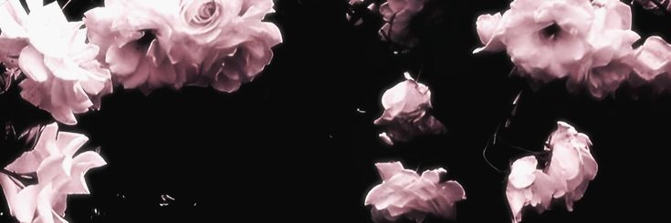 _Lun4rmoth's profile banner image