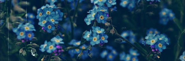 itsaboutagirl_'s profile banner image