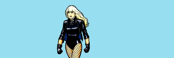 laneslois Profile Banner