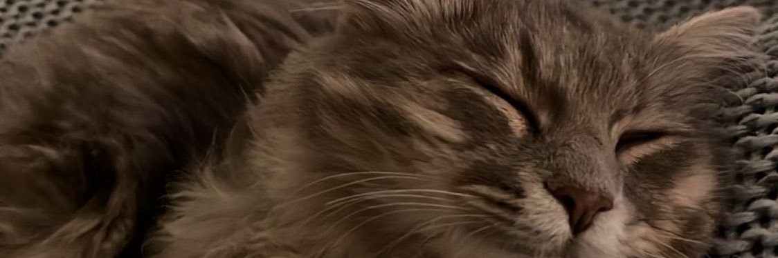 سَدَفُ غَربيٍب banner