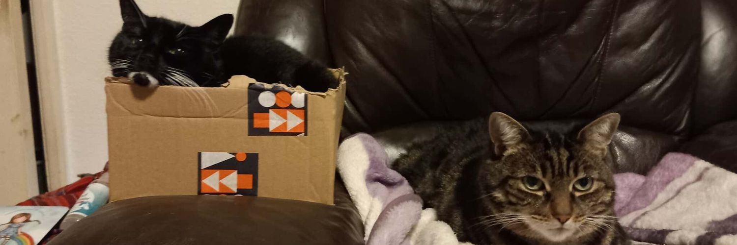 Laura Collins banner