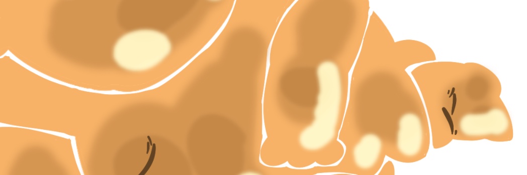 midimagik's profile banner image