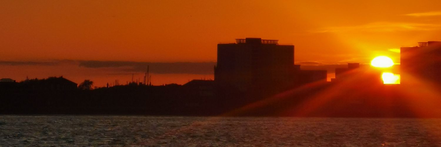 JupiMoth's profile banner image