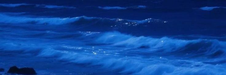 Retha banner