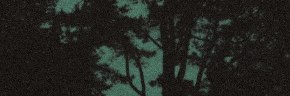 clevercorday's profile banner image