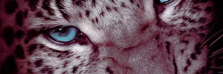 ibrahim_y97368's profile banner image