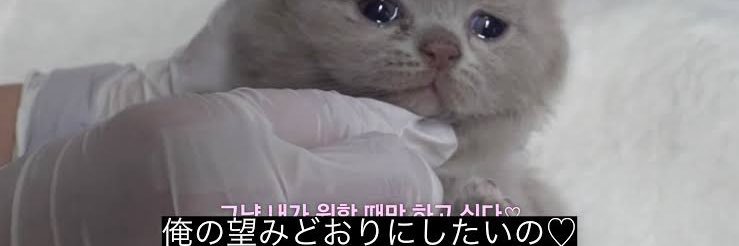 おひるねたろう banner
