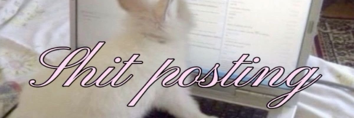 verynot4u's profile banner image