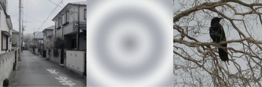blakeethvv's profile banner image