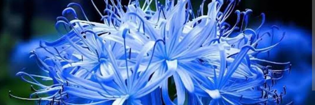 lys6422's profile banner image