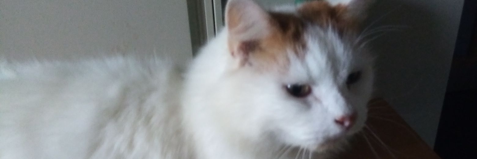 simonious1967's profile banner image