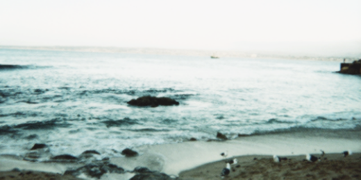dobrevwhgdr's profile banner image