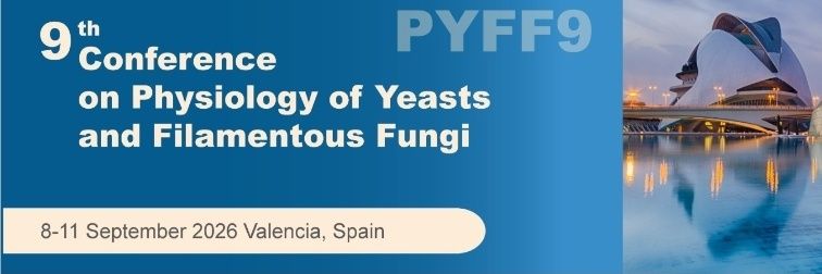 PYFF9 banner