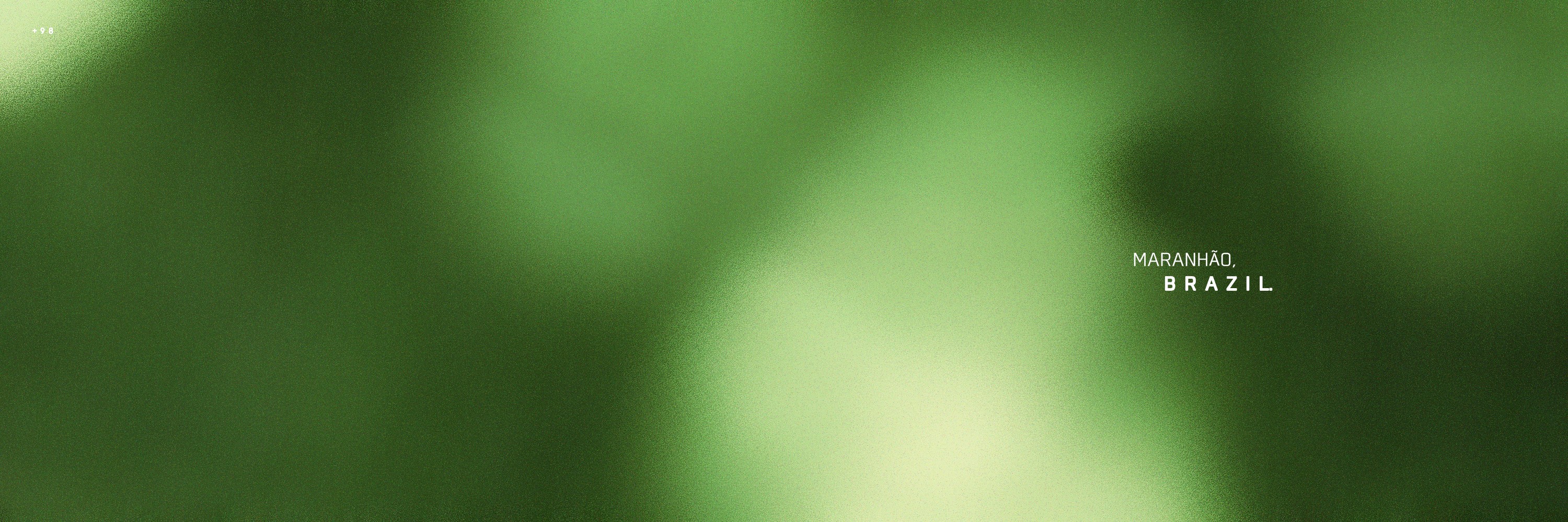 Léo. banner