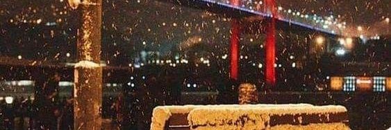 نوف الدوسري banner