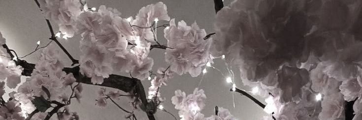 — ʟɪɴᴏ banner
