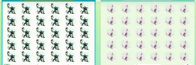 Kz ポケモンZA &エアライダー banner