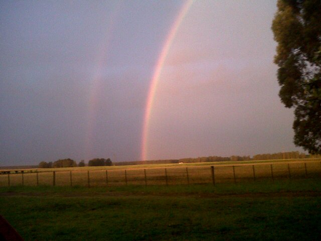 Emiliano Fernandez banner