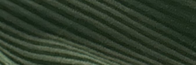 Sprinky! banner
