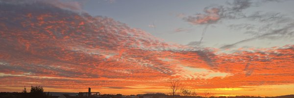 Only__Shanks Profile Banner