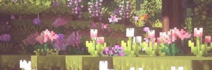 user_9381's profile banner image