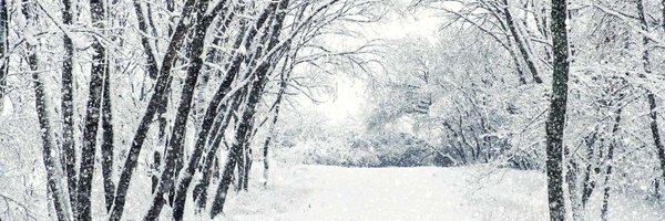 SnoJustus Profile Banner