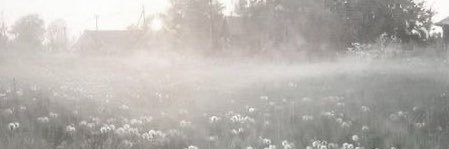 kitikat2aa's profile banner image