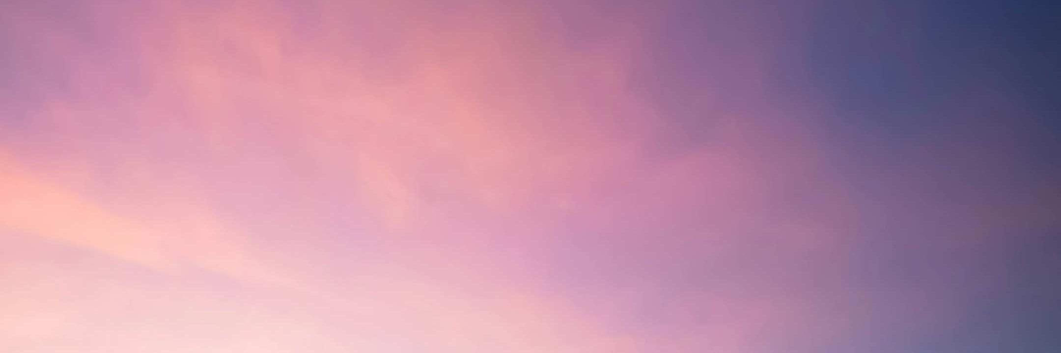 justineShu's profile banner image