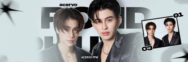 ppwacervo Profile Banner