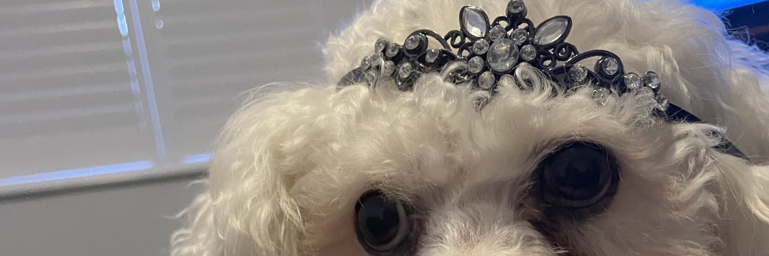 catjellycat's profile banner image