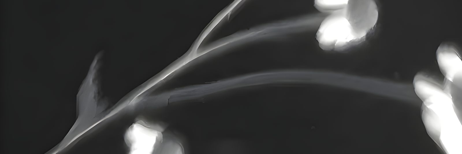 ₊⊹ꕤdebsꕤ⊹₊ banner