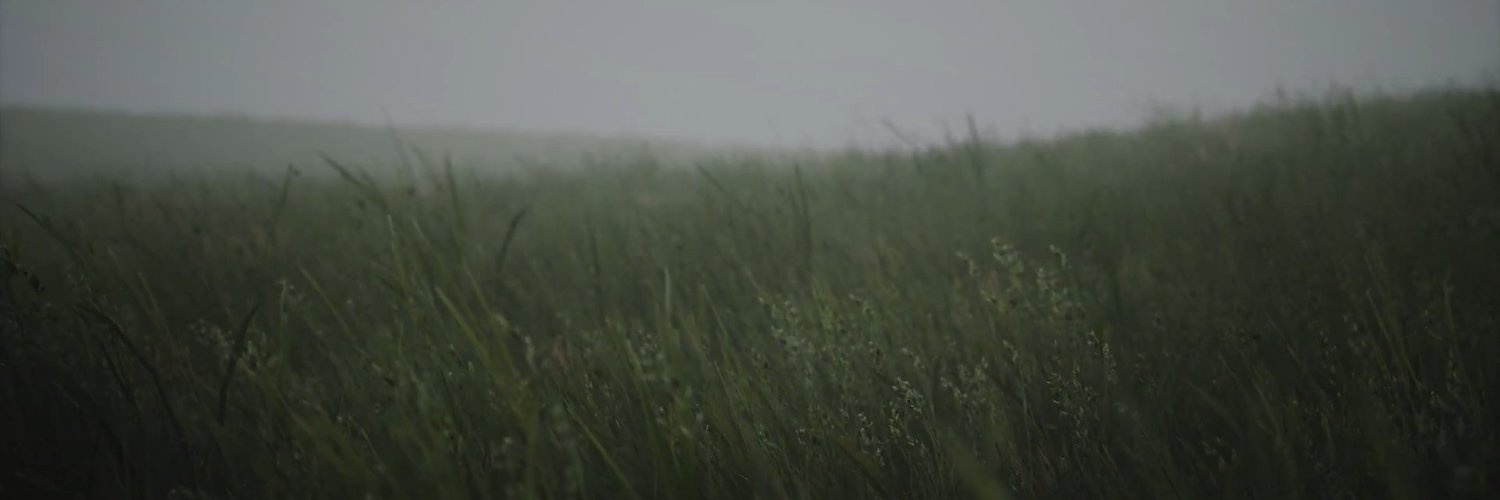 luvwillow banner