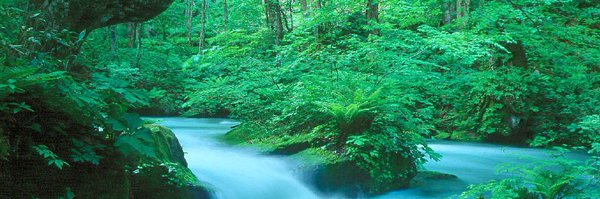 funrun279 Profile Banner