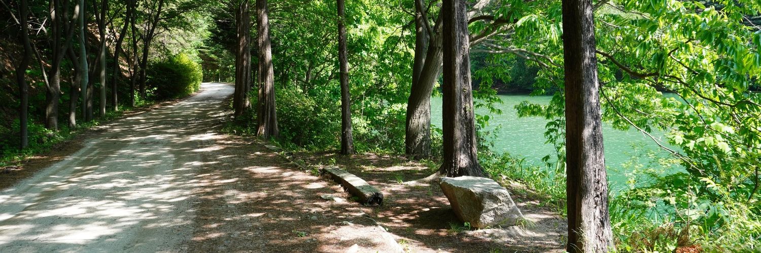 ✿︎𝕞𝕚𝕪𝕦✿︎ banner