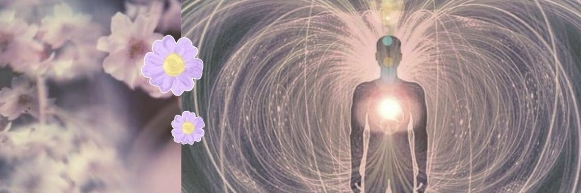 thavineves's profile banner image