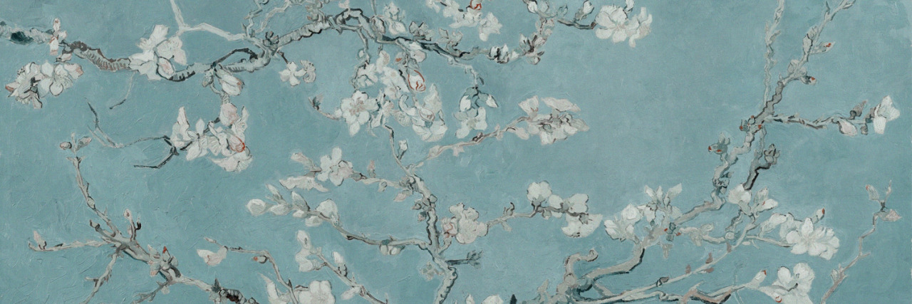 elydentwt's profile banner image