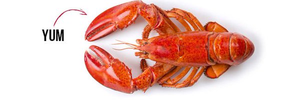 getmainelobster Profile Banner