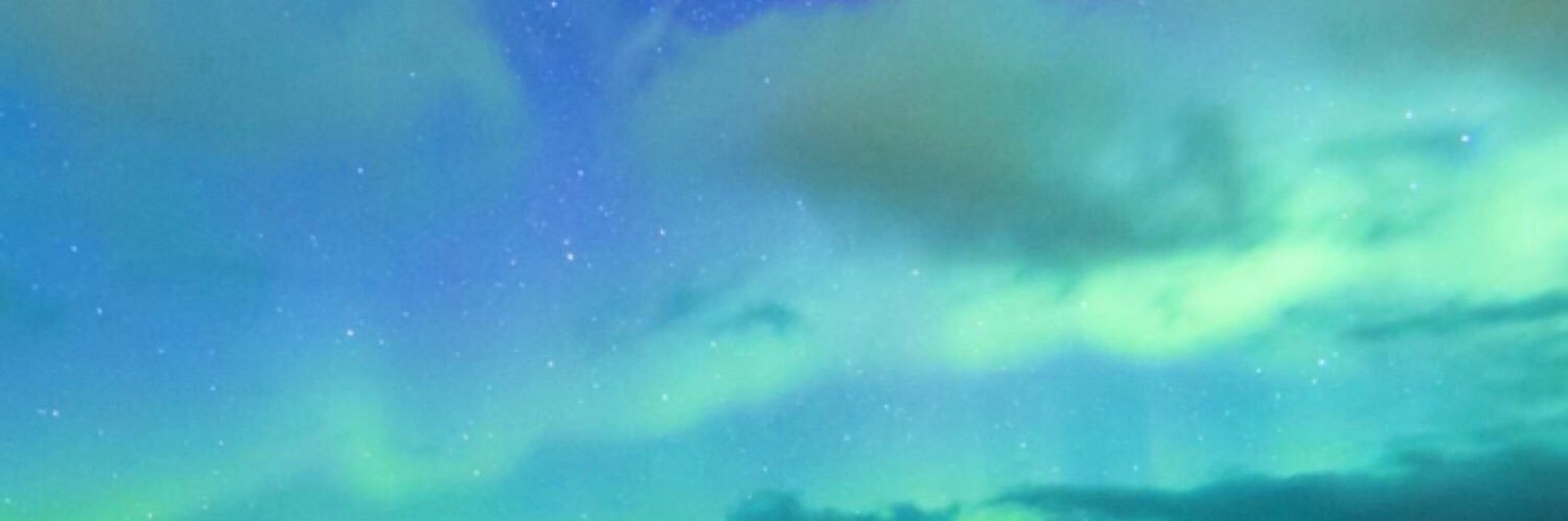 F93ina's profile banner image