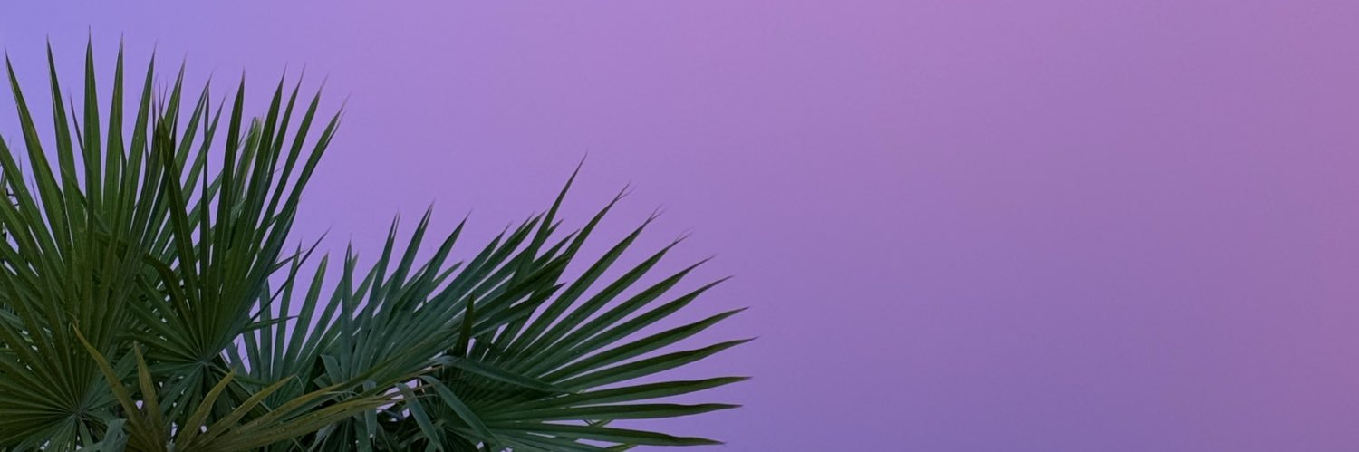 dnpdnopdnp's profile banner image