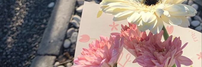 matcha banner