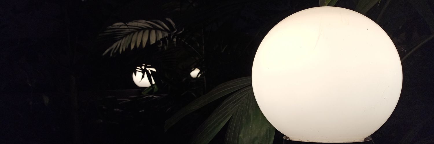 dpzcafe's profile banner image