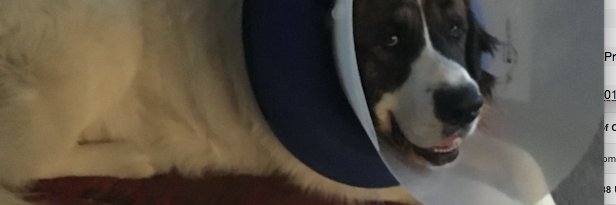 BlakeYule5's profile banner image